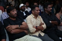 RudraVeena Movie Pre Release Event